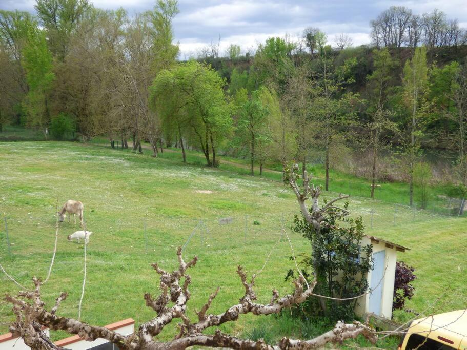 Gite O Fil Du Tarn Lescure-dʼAlbigeois Esterno foto